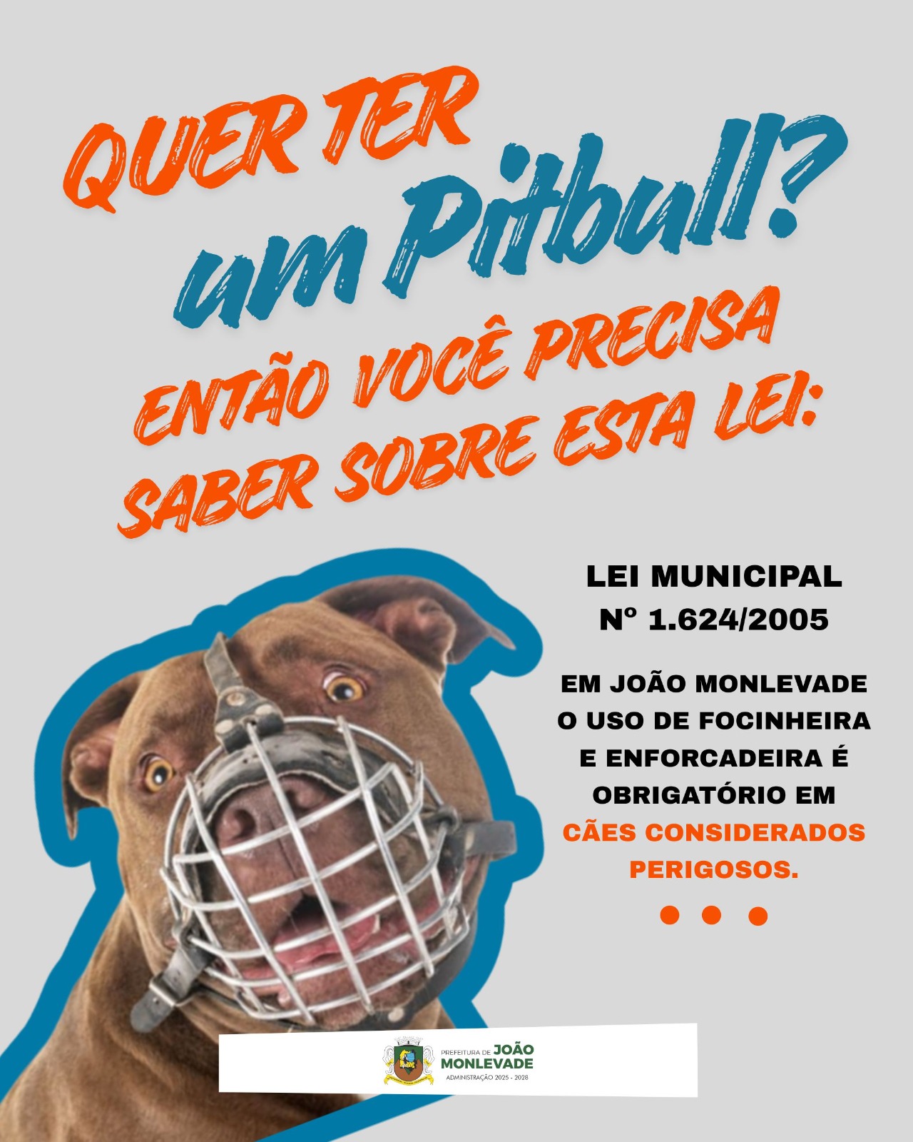 Imagem da Noticia: 73b6d8b23780ac7f624f0c869d53a29f.jpg