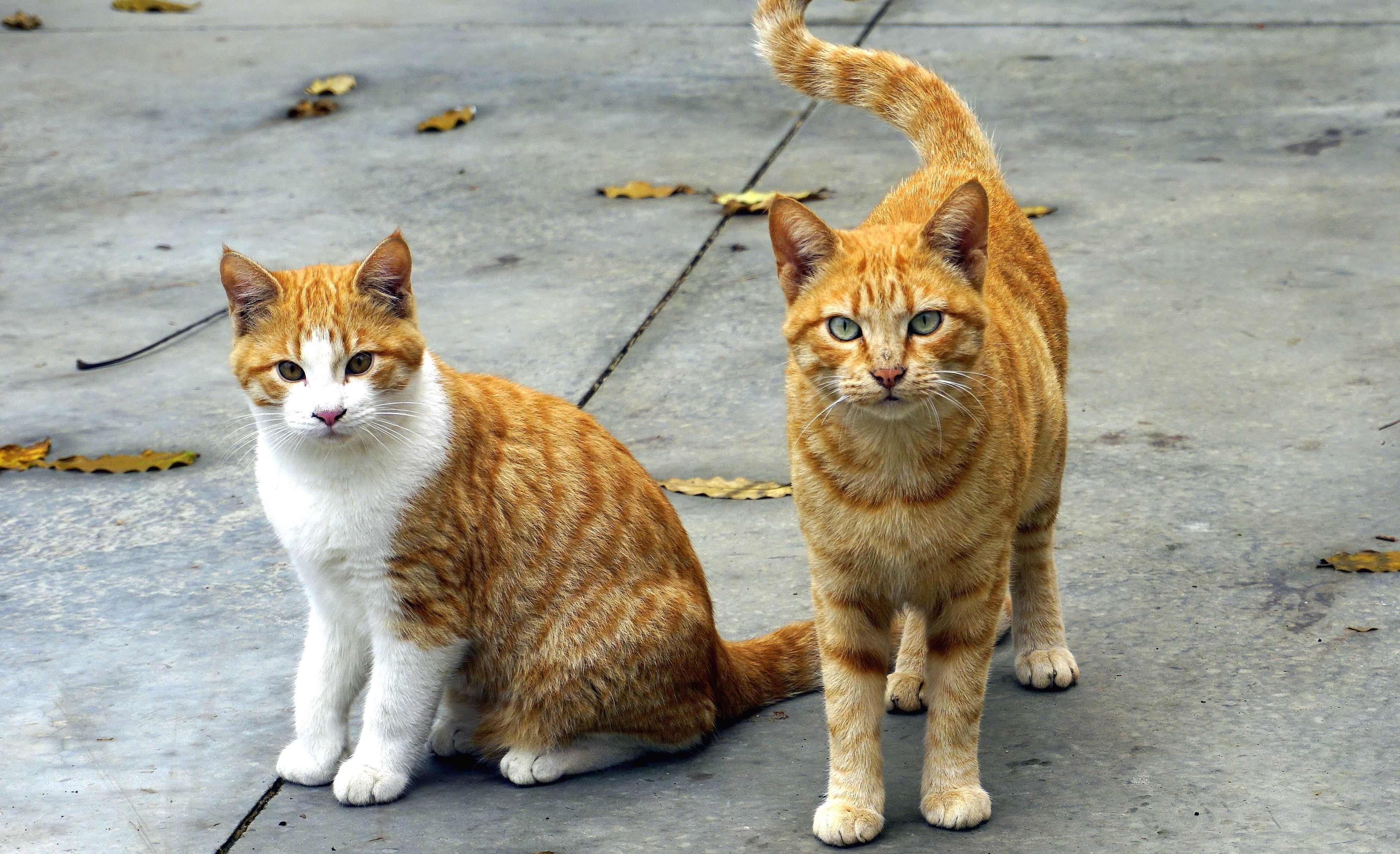 Imagem da Noticia: c46d07b47243e667b548c6dc794d72df.jpg