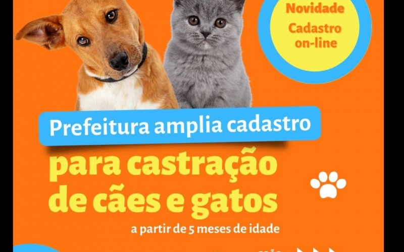 Prefeitura abre inscrição on-line para castração para cães e gatos