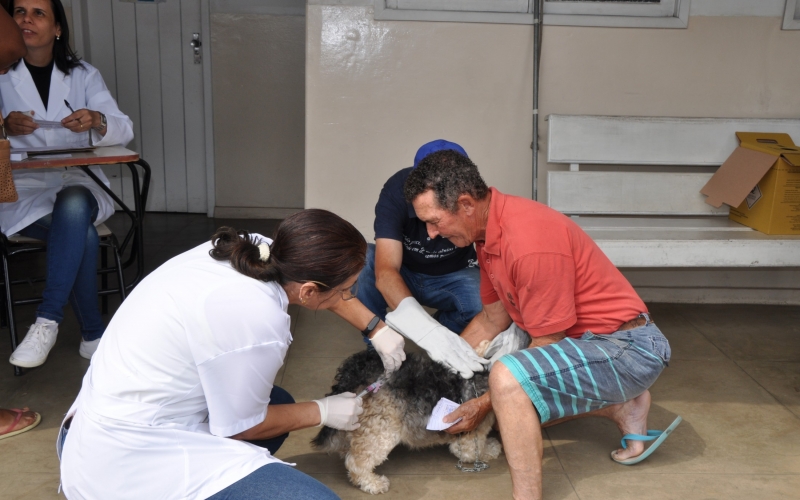 Prefeitura de João Monlevade vacina 3.934 animais contra a raiva