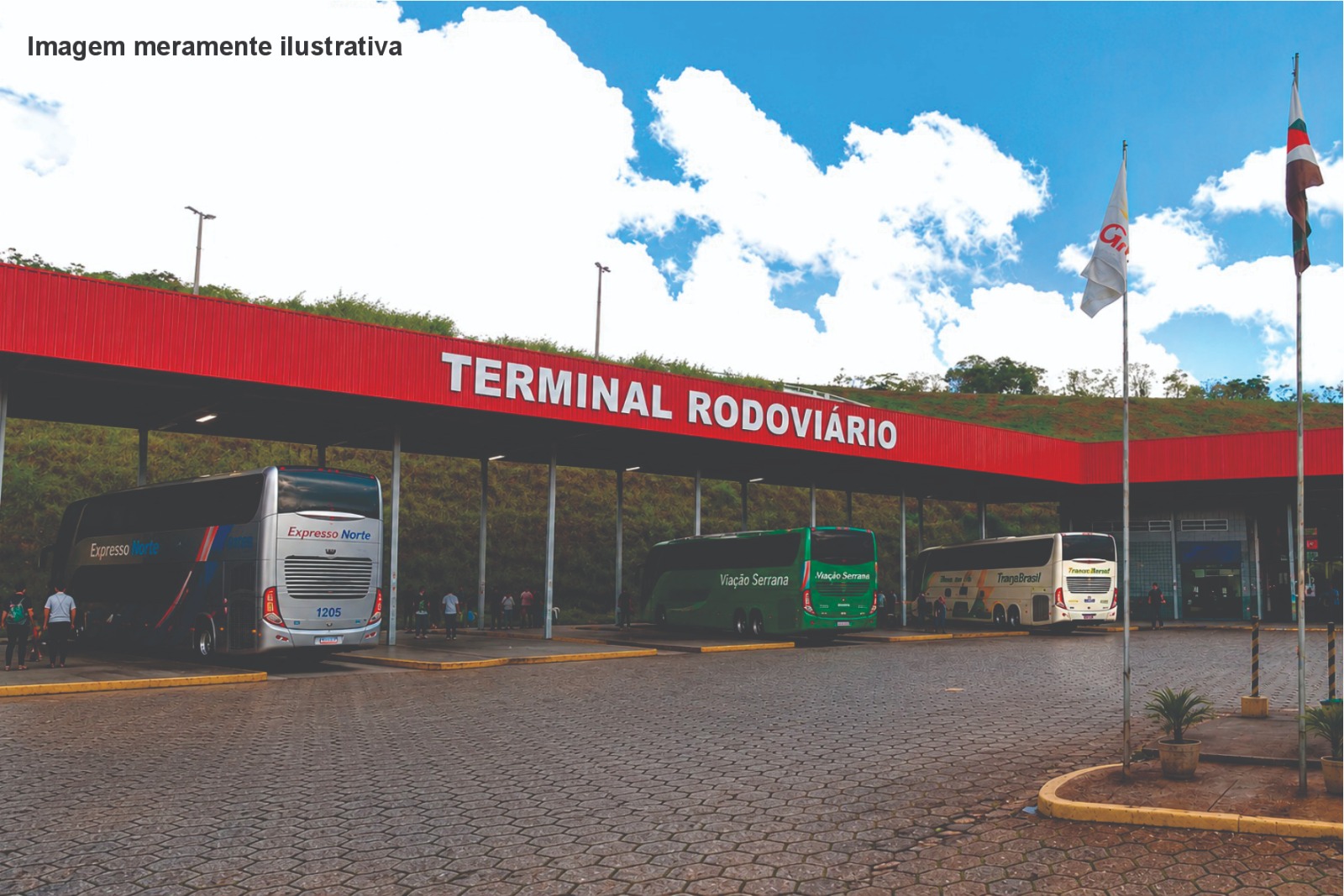 Imagem da Noticia: 0c8b92484aeb42326eeae9a1fe566488.jpg